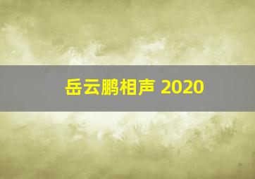 岳云鹏相声 2020